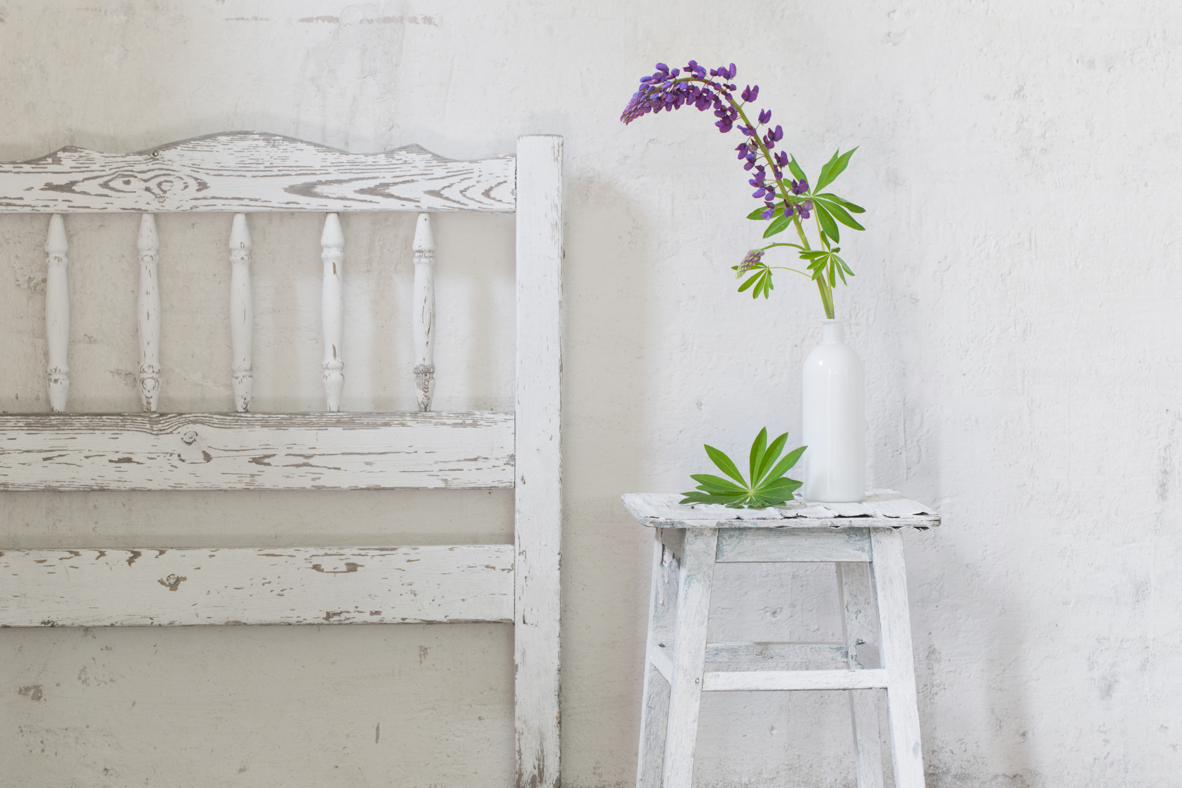 shabby chic