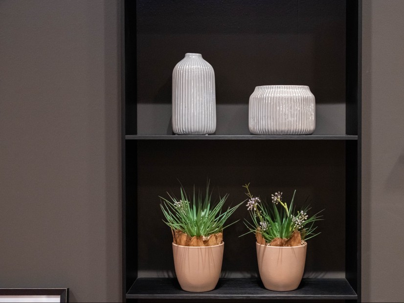 Living MOTUS LIVING 4